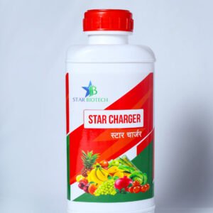 स्टारचार्जर